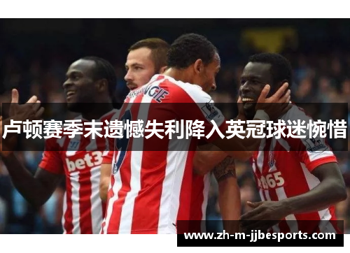 卢顿赛季末遗憾失利降入英冠球迷惋惜